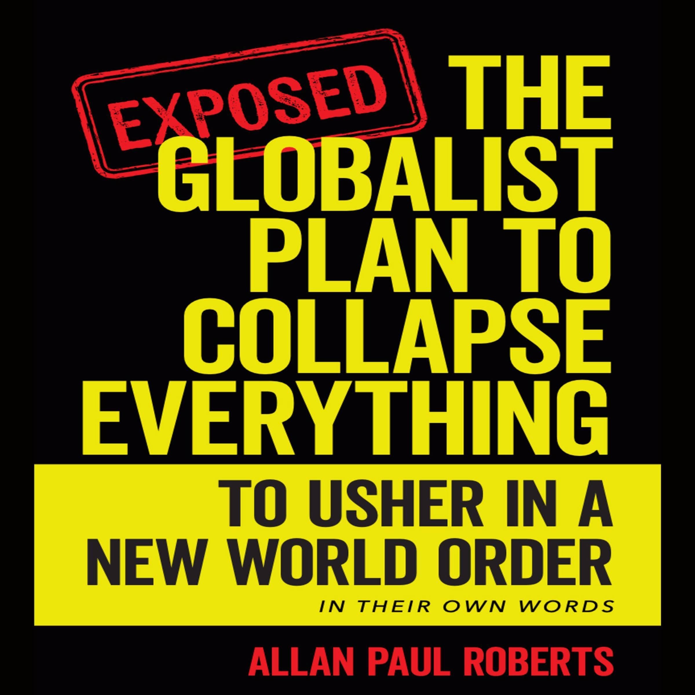 The Globalist Plan to Collapse Everything