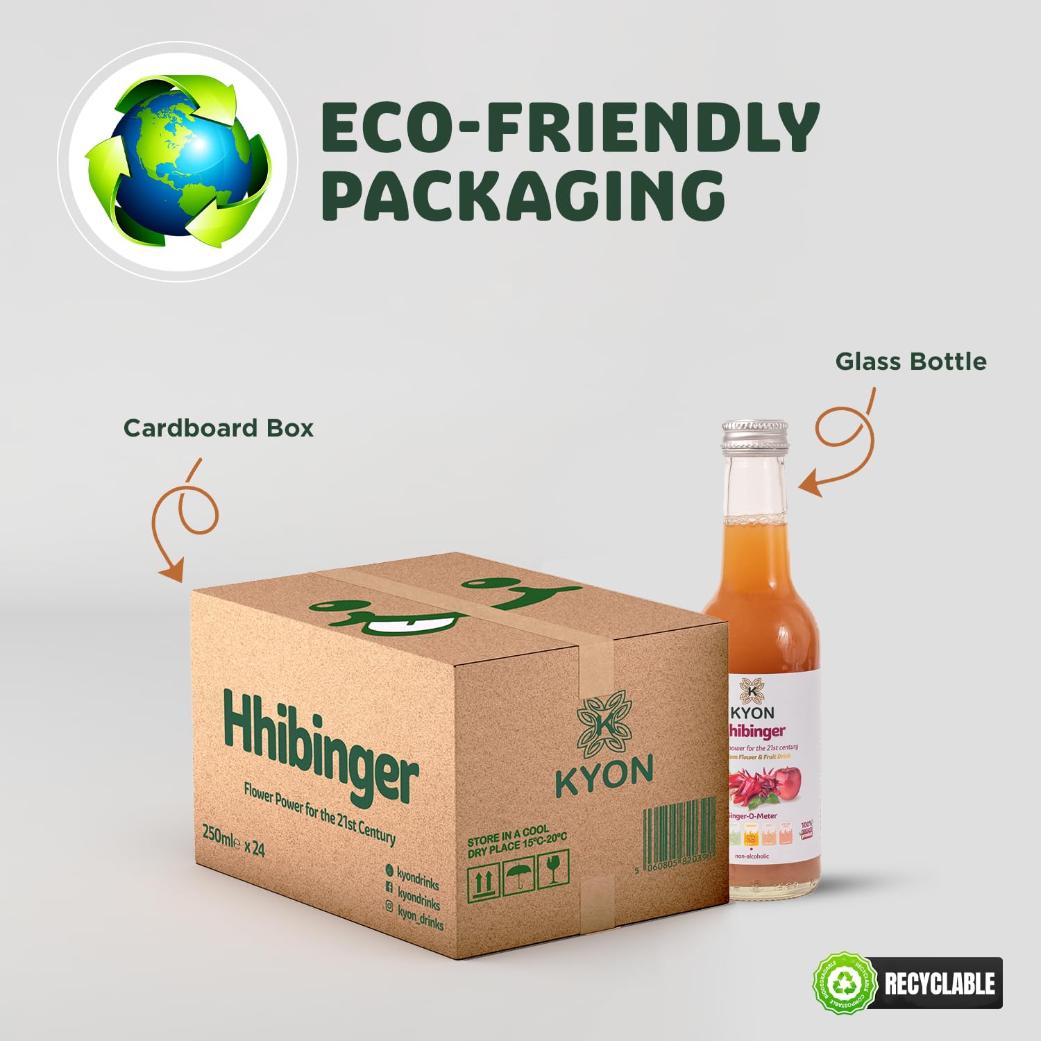 Napój Kyon Ppinger – 250 ml Sok imbirowy z jabłkiem, orzeźwiający i bezalkoholowy napój imbirowy, dostępny w opakowaniach po 6, 12 i 24 sztuki (250Ml-24 Pack, Hhibinger)