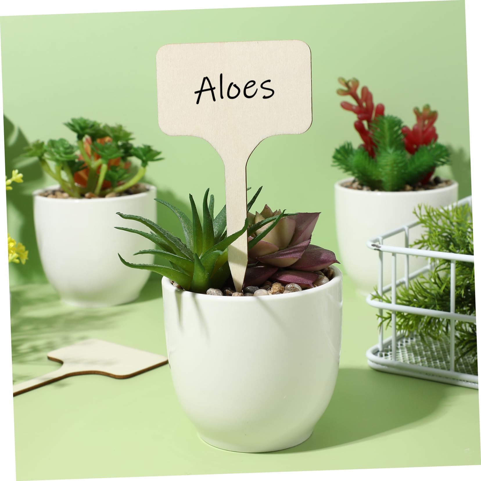 YARNOW 250pièces Étiquettes De Plantes Marqueurs De Jardin Étiquettes Pour Et Fleurs Accessoires De Jardinage Pratiques
