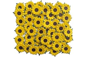Small Sunflowers For Crafts
