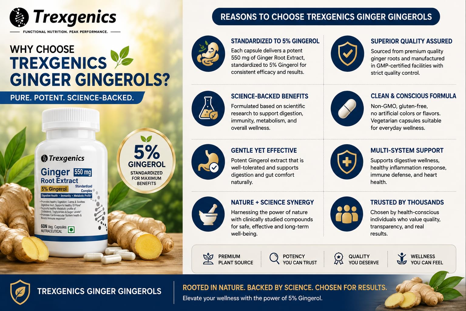 Trexgenics GINGER (Bioactive 5% Gingerol) 550 mg Standardized for Digestive Health, Immunity, Metabolic Profile, Immunity Support (60 Vcaps) (1) 4