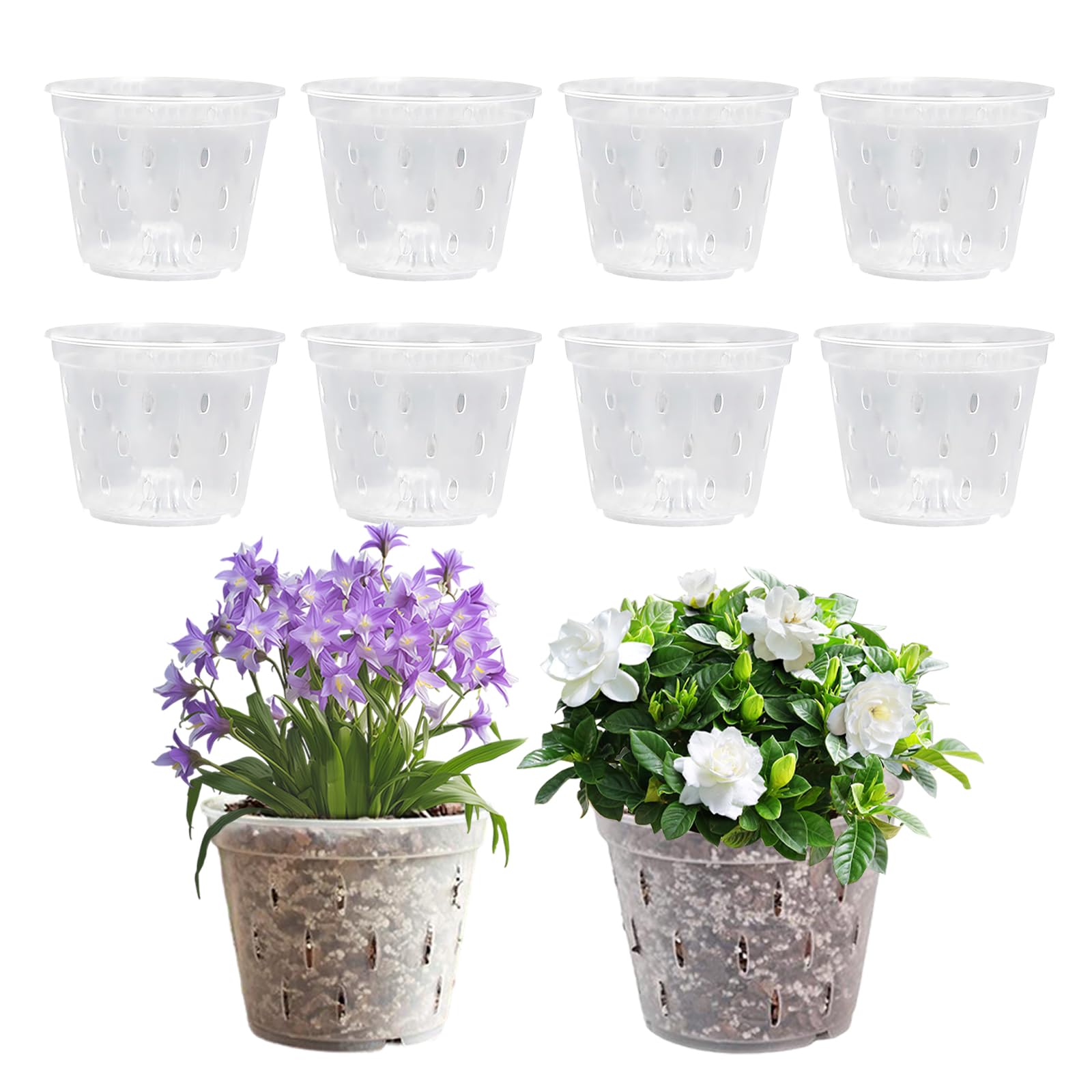 Pot Transparent Orchidée 20 Pièces Pot De Fleurs En Plastique