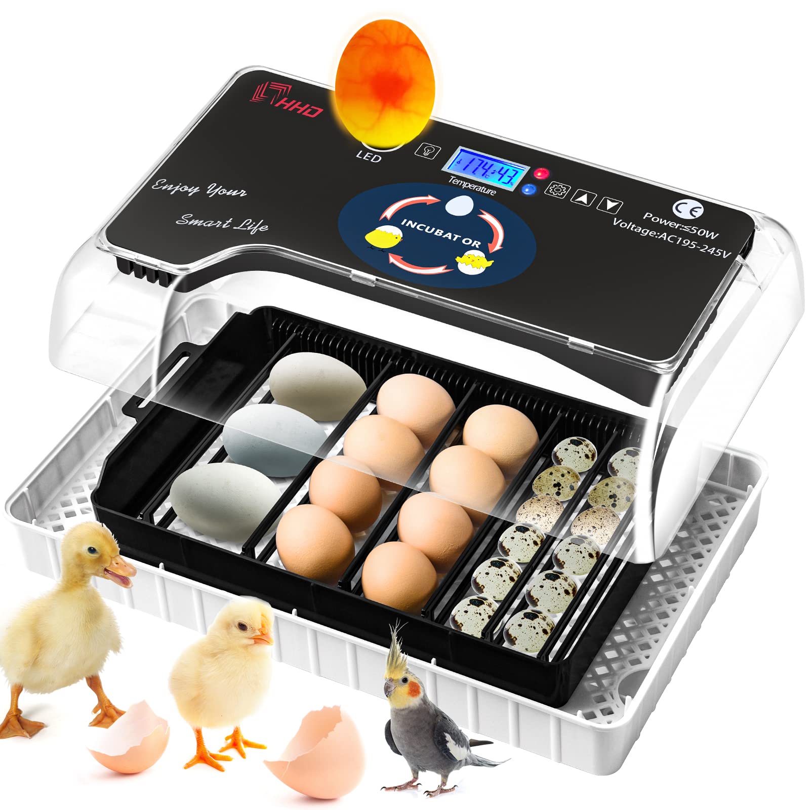 Buy 20 Egg Incubator with Automatic Egg Turning, Digital Egg Hatching
