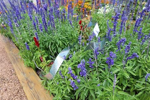 Miniatura 4 de Bird-X TAPE-25 Irri-Tape Cinta holográfica Irredescent Foil repelente de pájaros, 2 pulgadas x 25 pies de largo, multicolor