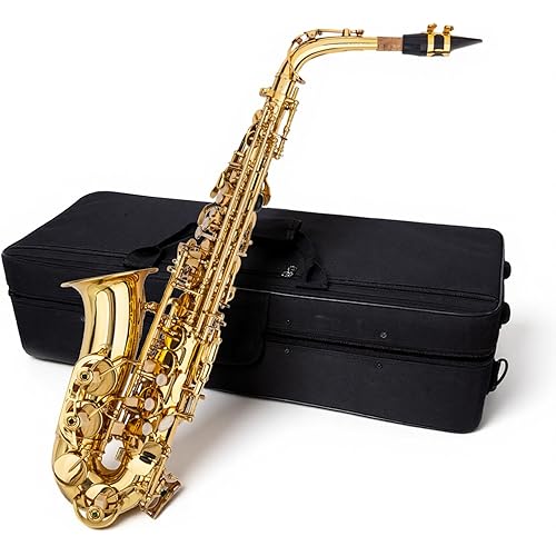 Alto Saxophone Eb Brass Instrument for Adults and Students, Beginner Sax Kit with Mouthpiece, Reeds, Cleaning Cloth, Strap and Case