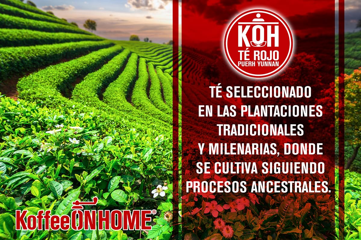 KoffeeONHOME Té Rojo Pu-erh de China en Granel 100% Natural - 400g - Infusión Detox y Digestiva