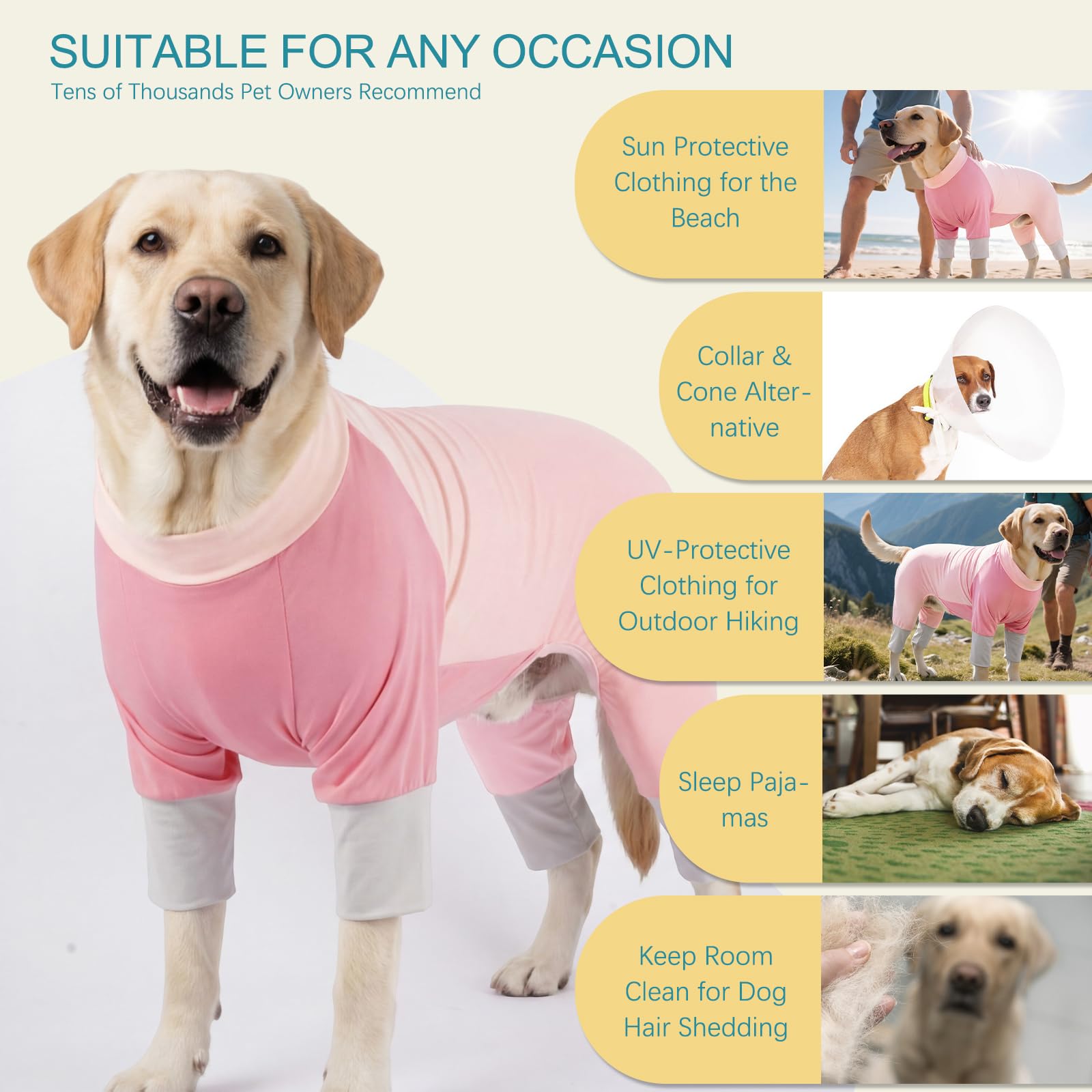 ROZKITCH Chemise rashguard pour chien, gilet de protection UV de qualité supérieure pour chiens, coupe ajustée, chemise d'été rafraîchissante pour chiens actifs, confort tout au long de la journée