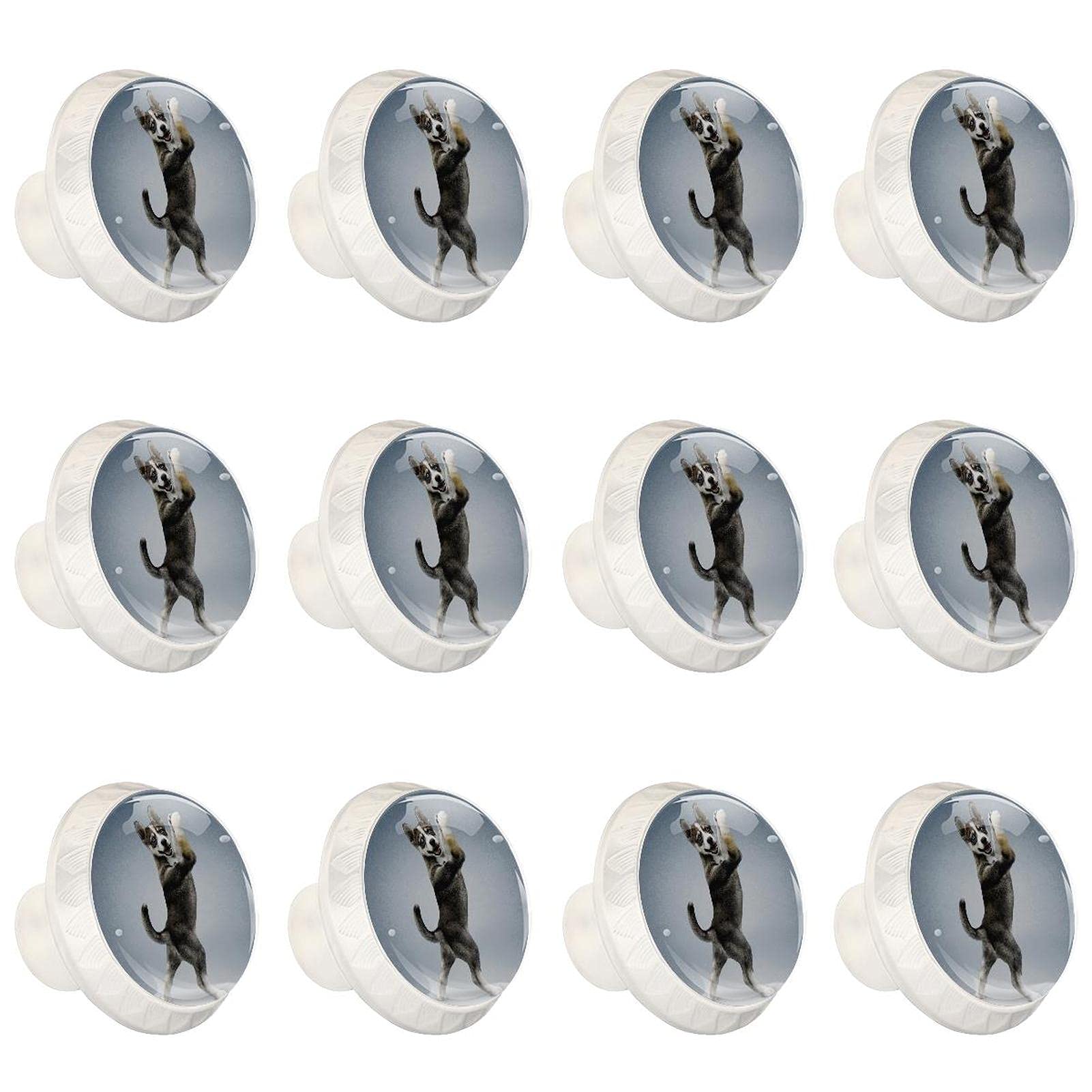 Poignée de placard de cuisine et tiroirs en lot de 12 boutons ronds chien yoga durables