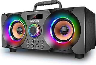 60W(80W Peak) Portable Bluetooth Speaker with Subwoofer Heav