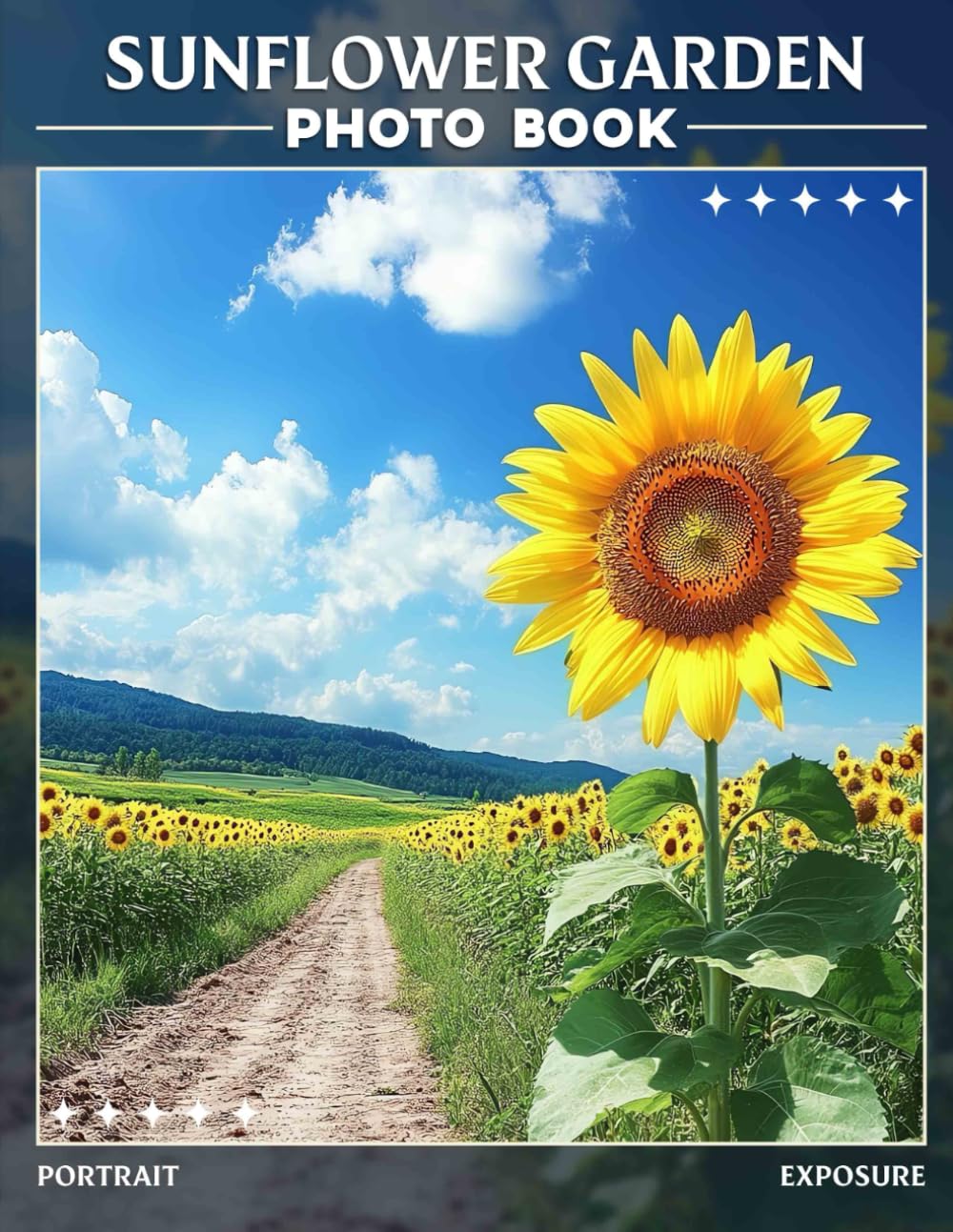 Sunflower Garden: Vibrant Photos Celebrating Sunflower Beauty To Brighten Any Space