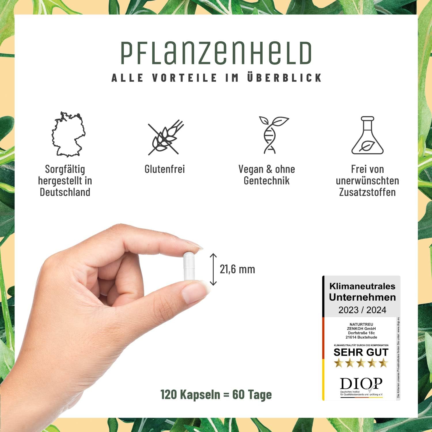 NATURTREU® Vitamin Kapseln Vegan - 360 Kapseln für Veganer und Vegetarier | Daily Vitamins mit B12, Eisen, Zink, Calcium, Magnesium & Vitamin A - Vegan Multivitamin ohne Jod - Vorteilsbundle 3er Paket