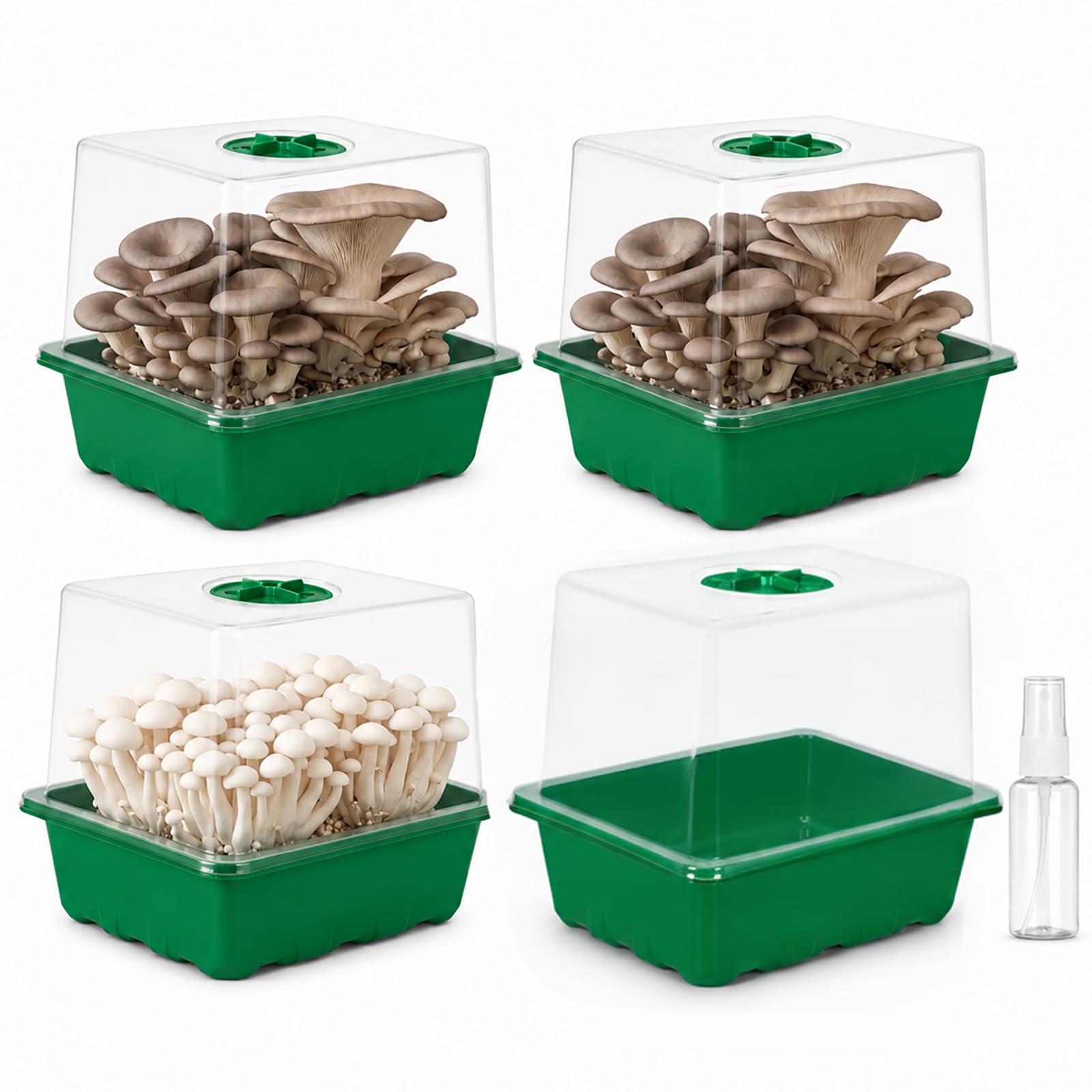 Raoletin 4 Pack Mushroom Growing Kit Grow Mushrooms at Home Kit, Plastic Small Propagator Grow Tent with Spray Bottle for Growing Mushrooms, Seed Trays with Vent Lids for Home Indoor Desktop Use