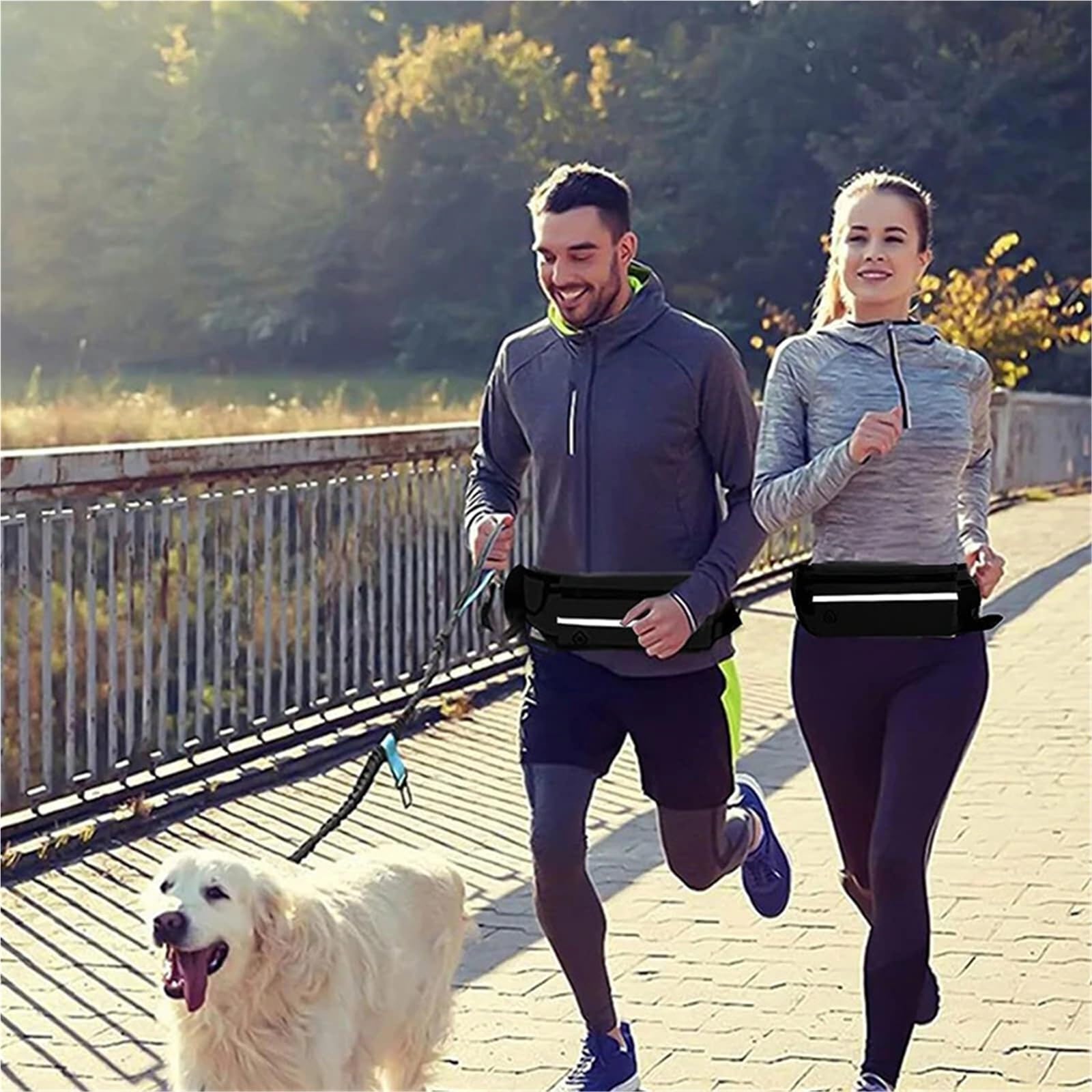 Cinturón de tracción para Perros Durante la Carrer Cinturón Manos Libres for Perros for Correr, Caminar, con riñonera, cinturón elástico retráctil y Cuerda de tracción(Blue)