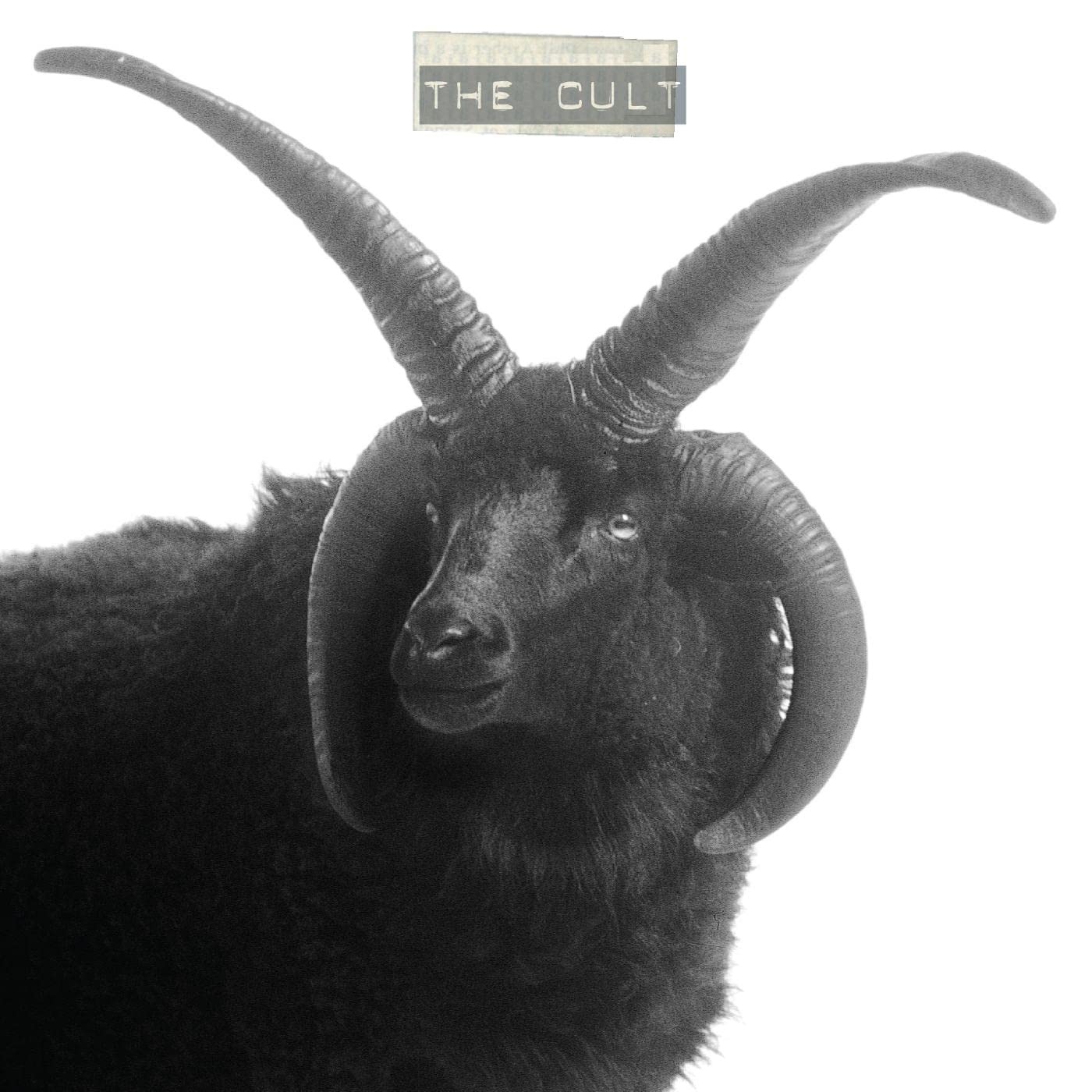 The Cult: Amazon.com.br: CD e Vinil