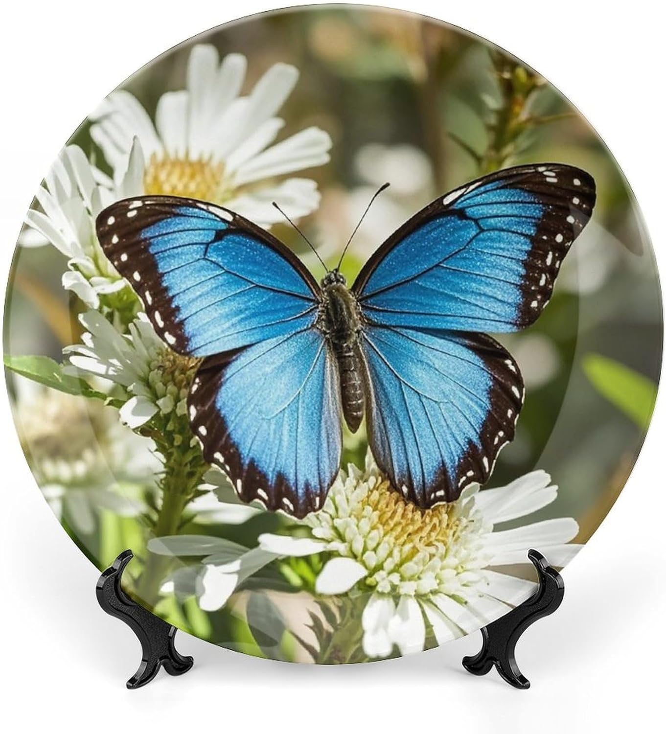 Blue Butterfly Small Decorative Ceramic Plate Round Porcelain Plate Decor Personalized Bone China Decorative Plates Ceramic Ornaments Dessert Plates with Display Stand 10inch