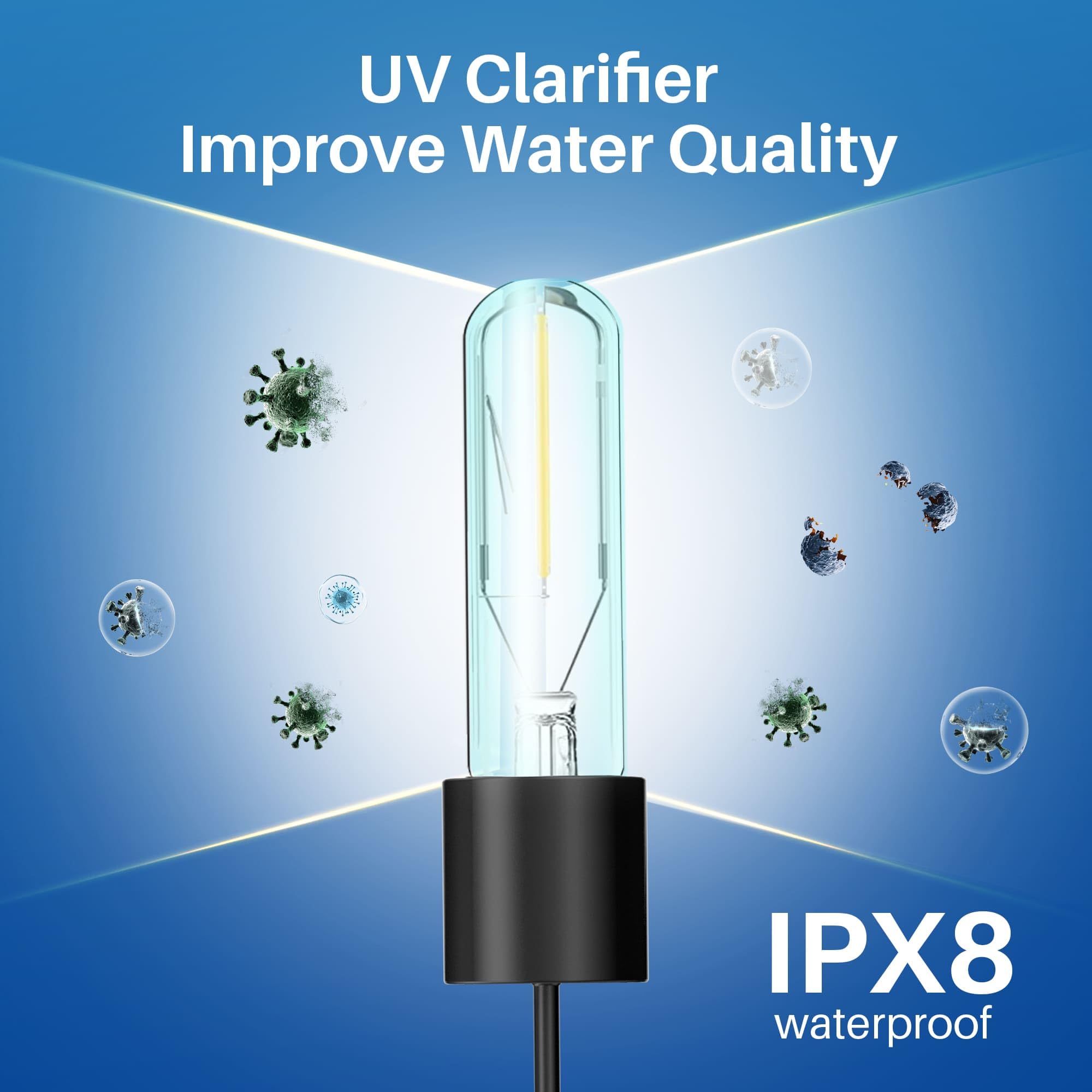 View 8