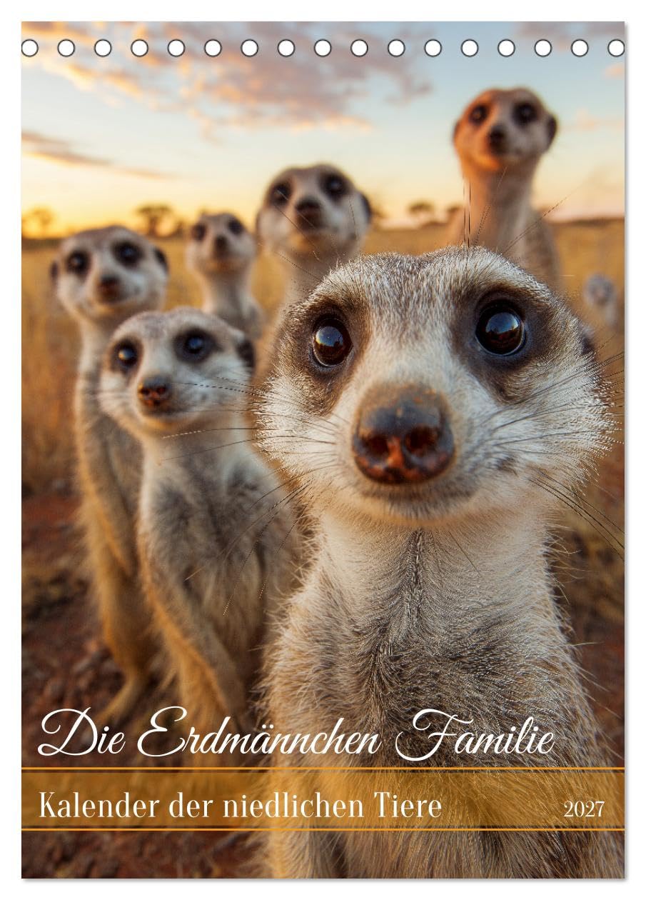 Kalender 2027 · Die Erdmännchen Familie - Kalender der niedlichen Tiere | Erdmännchen Kalender: Niedliche Tiere · die Erdmännchen-Familie in einzigartigen… · DIN A5 hoch · CALVENDO Tischkalender
