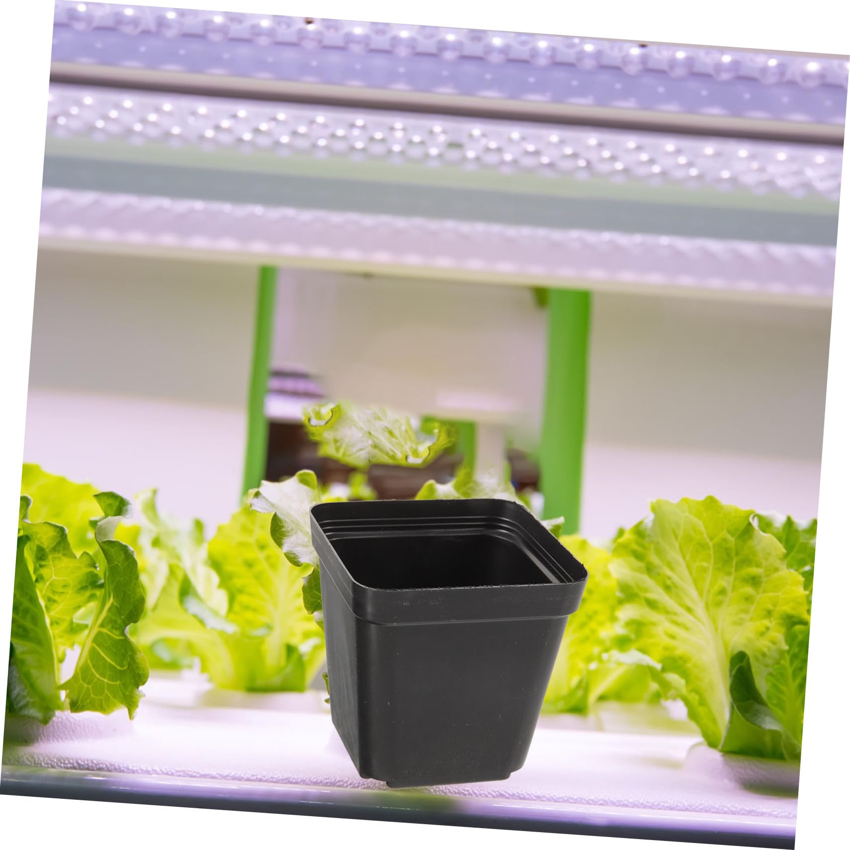 Didiseaon Vasi Da Vivaio Quadrati in Plastica Nera Con Fori Di Drenaggio, Set Da 120 Piccoli Vasi Per Semina e Giardinaggio Su Balcone e Orto, Fioriere Versatili e Facili Da Pulire Per Piante e Fiori