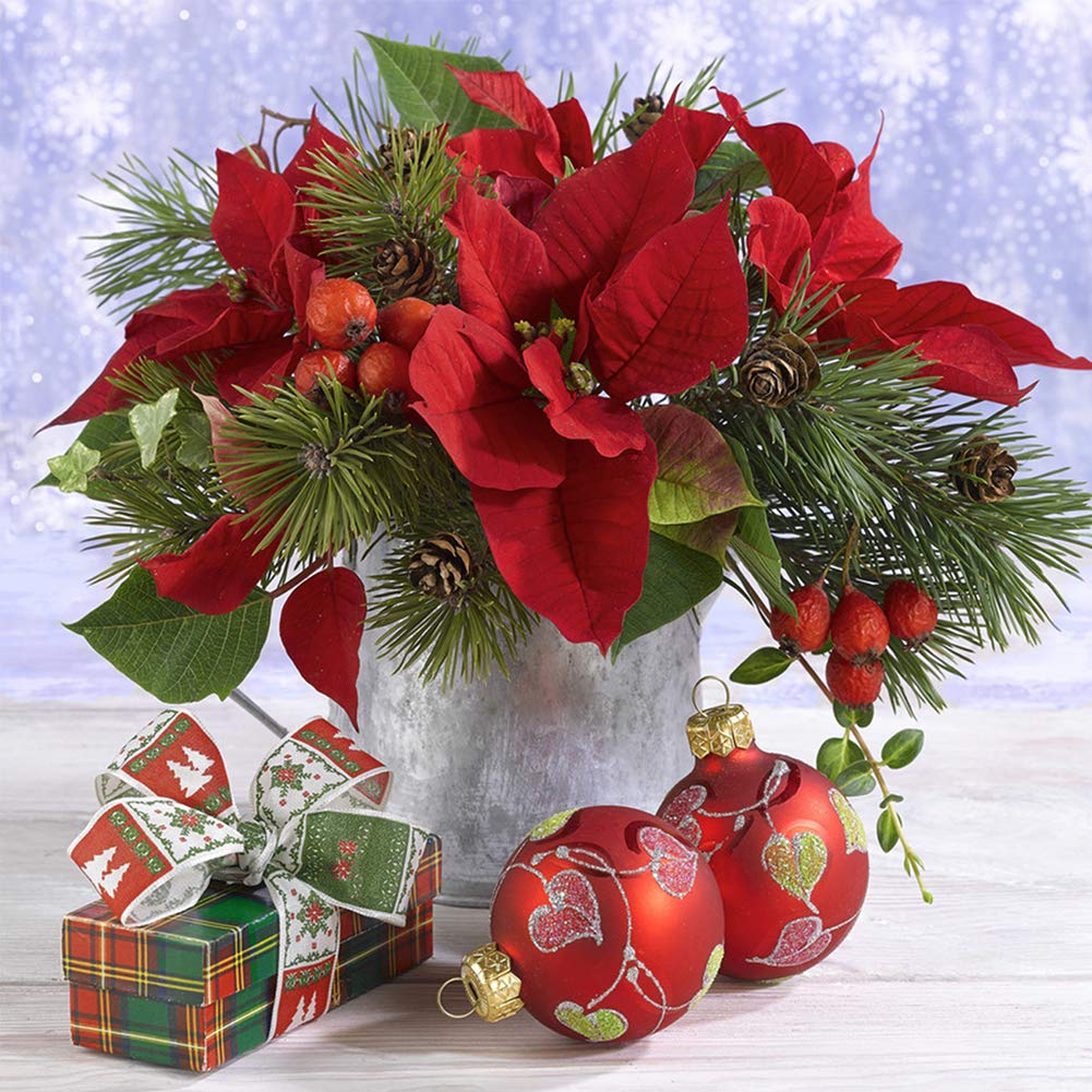 NeuInwir DIY Diamond Painting Kits for Adults Weihnachten Rot Weihnachtsstern Blumen 30x30cm, 5D Full Drills Round Art Craft Crystal Rhinestone (Joker)