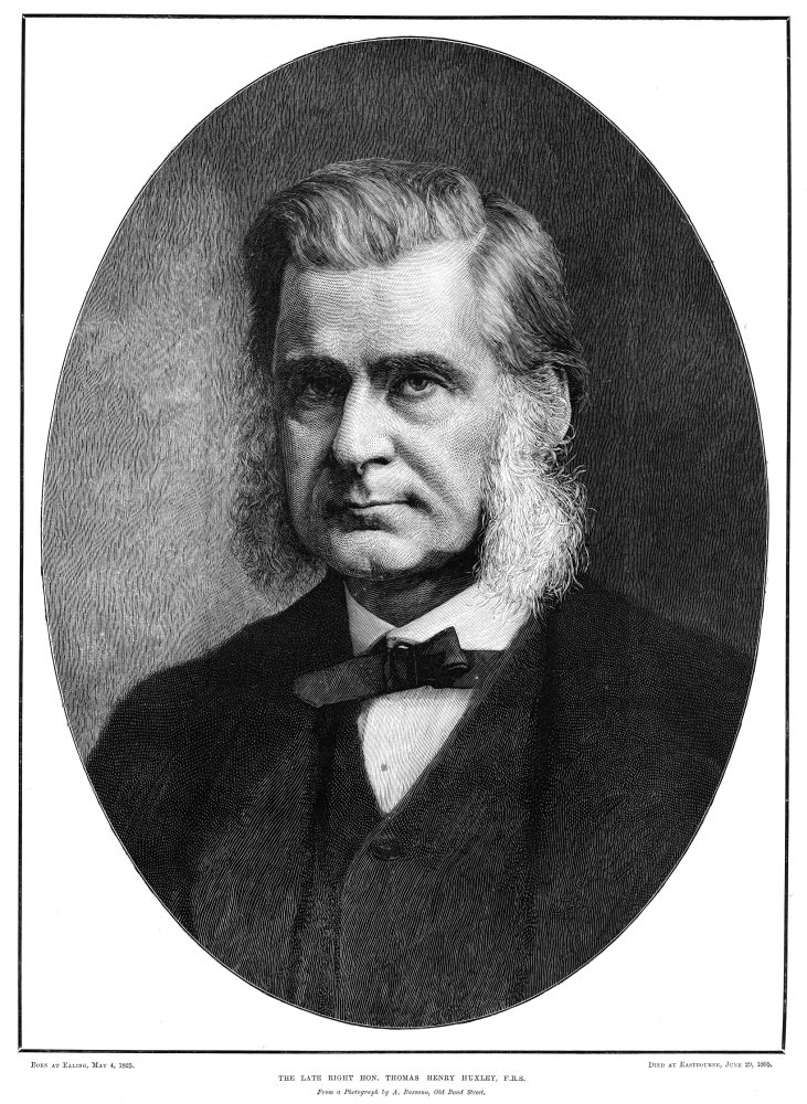 Thomas Henry Huxley N(1825-1895) English Biologist Engraving From A Photograph By Alexander Bassano C1883 Poster Print by (24 x 36)