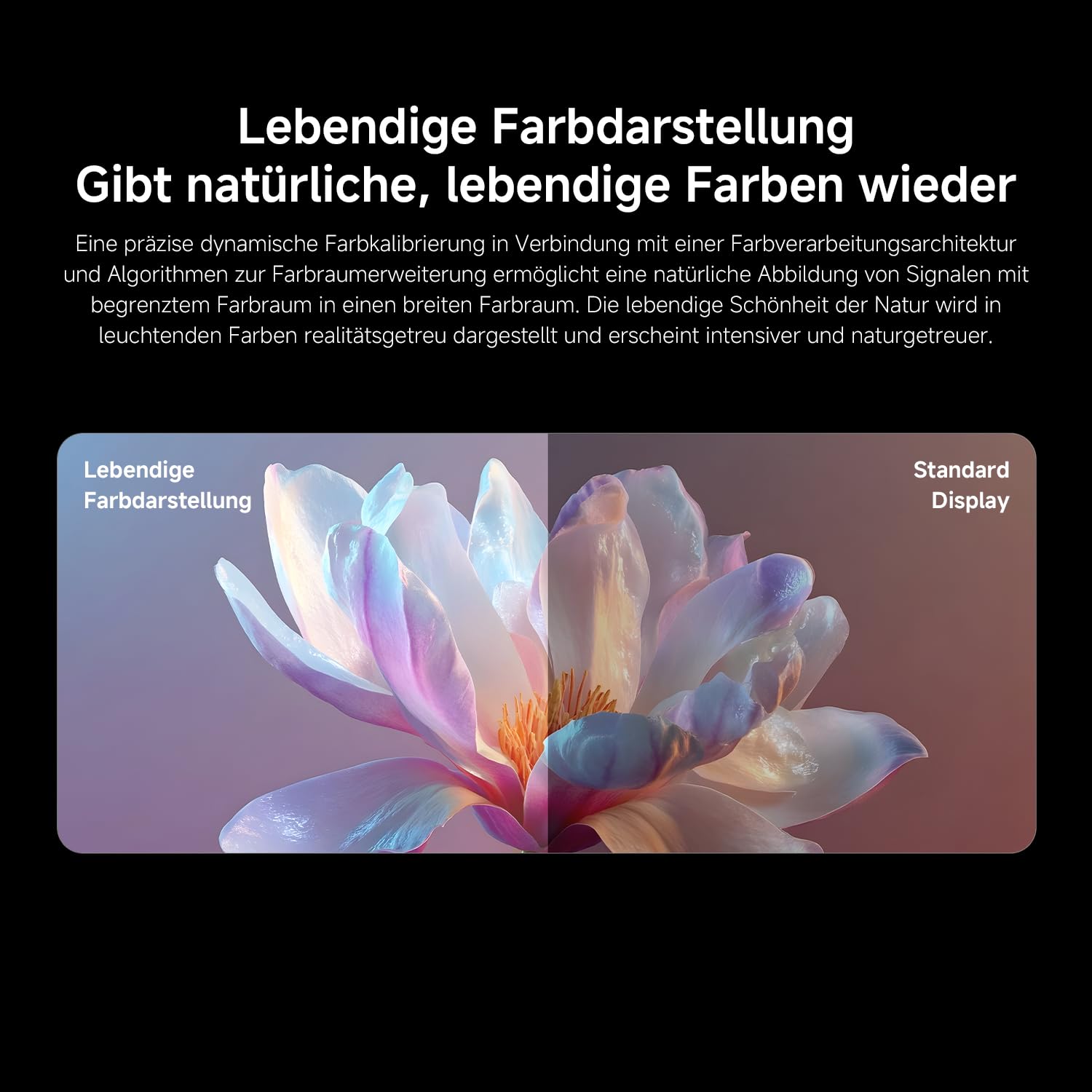 XIAOMI TV FX Mini LED 43 Zoll (101 cm), QD-Mini-LED-Smart-TV, 4K UHD, Fire TV, HDR10+, MEMC, DTS:X, AirPlay 2, HDMI, Filmmaker Mode, Sprachsteuerung mit Alexa