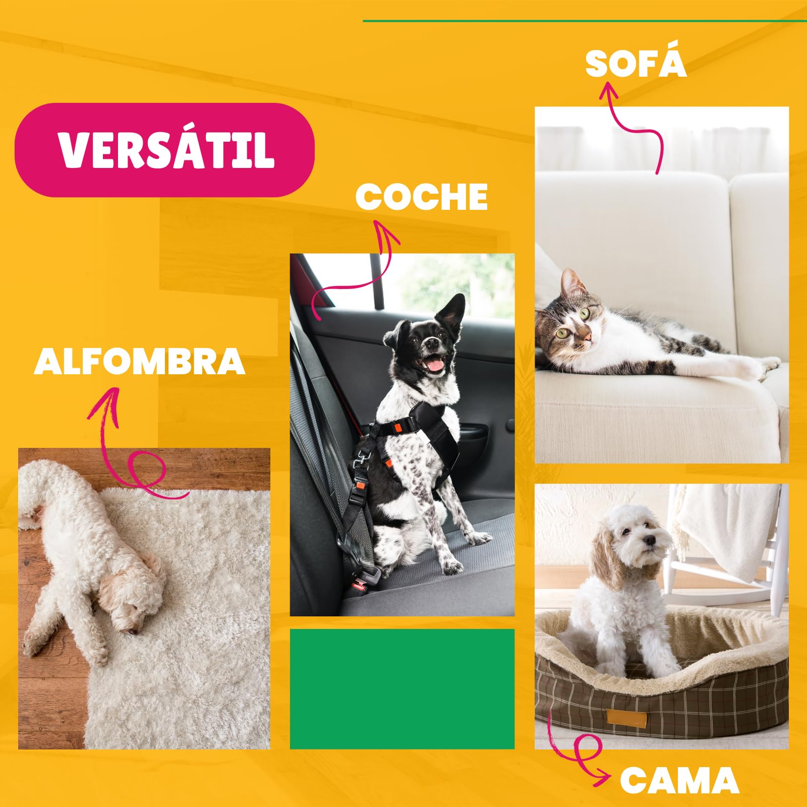 PLANTAWA Eliminador de Olores de Mascotas Concentrado 5L | Limpiador enzimático para orina perros y gatos | Neutralizador de olores hogar, alfombras, sofás y coche | Fórmula eficaz y segura