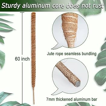 RYO　moss stick PQ60 Amazon.com : 60 Inch Moss Pole for Plants Monstera, Tall