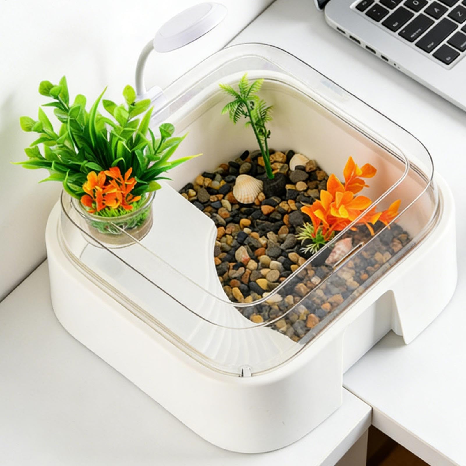 Terrarium Dla Żółwi Terrarium Dla Gadów Z Akcesoriami | Zestaw Habitat dla Małego Żółwia i Rybek Do Wnętrz Dom Biuro Ryba Agama Błazenek