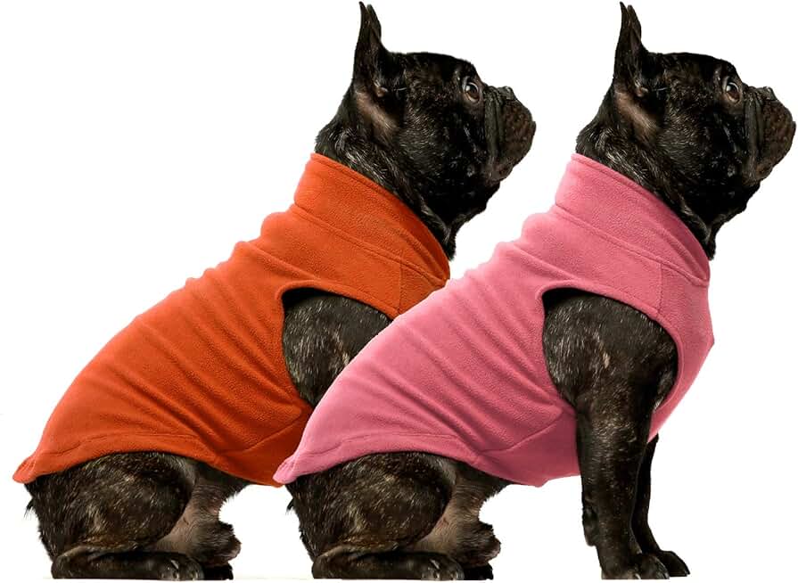 extra large dog clothes