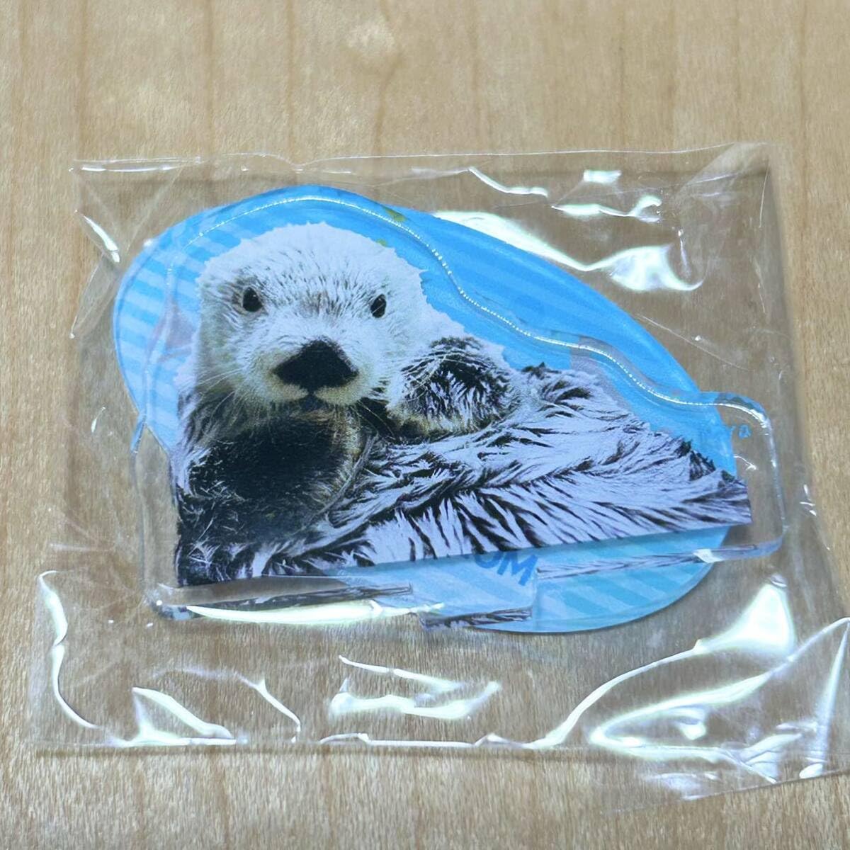 新品 鳥羽水族館 ガチャ アクスタ コンプリート ラッコ メイ キラ セレナ 新品 鳥羽水族館 ガチャ アクスタ コンプリート ラッコ メイ