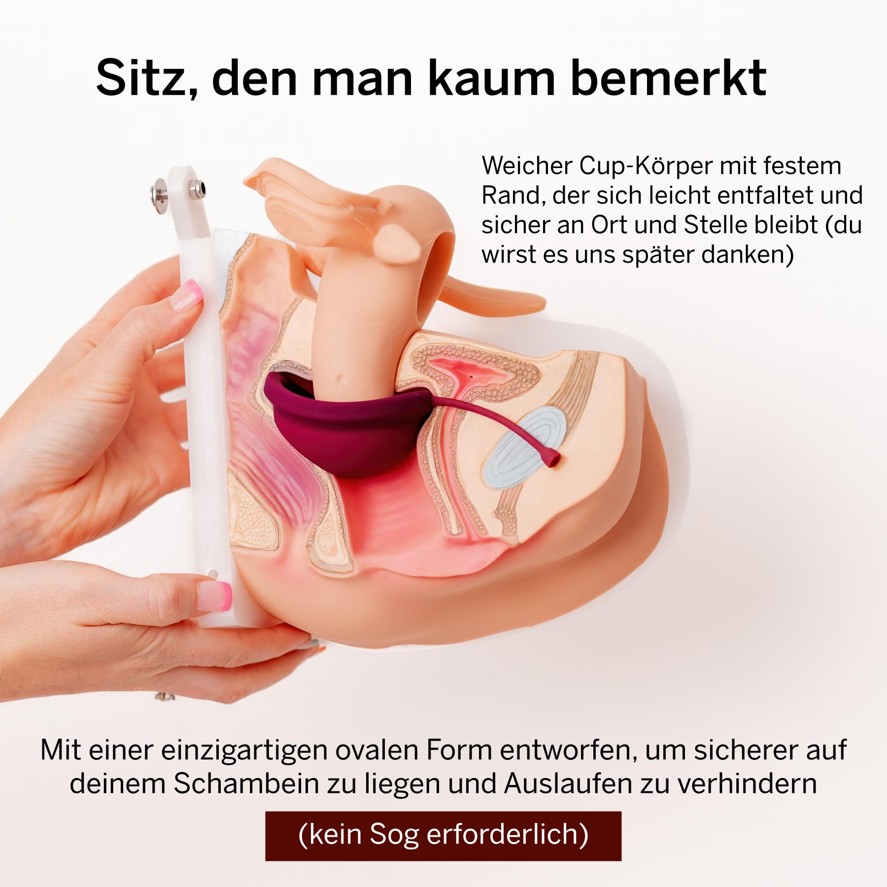 Menstruationsdisc mit Sterilisator – Platz 1 für komfortable weiche Perioden-Disc – Entfernt 99,9% der Keime mit Dampf – Reinigung in 3 Minuten – Kompaktes Hygieneset