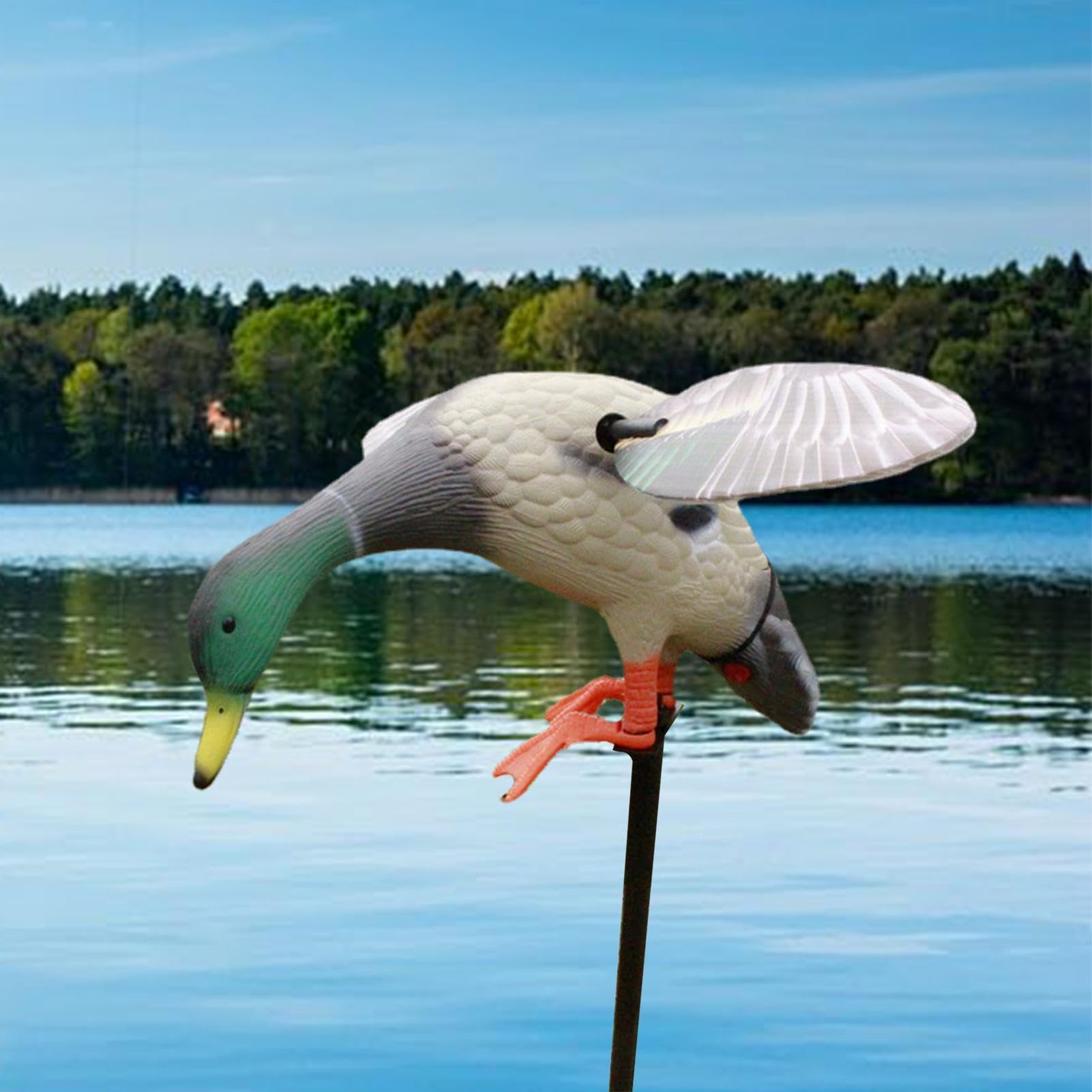Genérico Señuelos De Caza De Patos - 6V Mallard Ducks Doy | Señuelo | Giratorio, Señuelos Realistas Con Control Remoto, Señuelos De Movimiento Ajustable, Señuelos De Caza Flotante