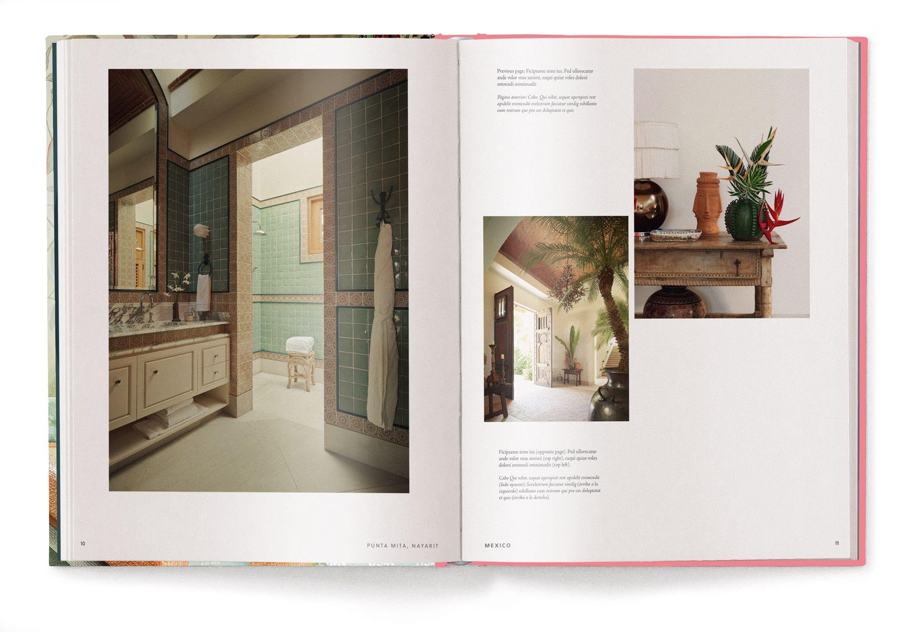 Interior Design in Latin America (World of Interior Design)