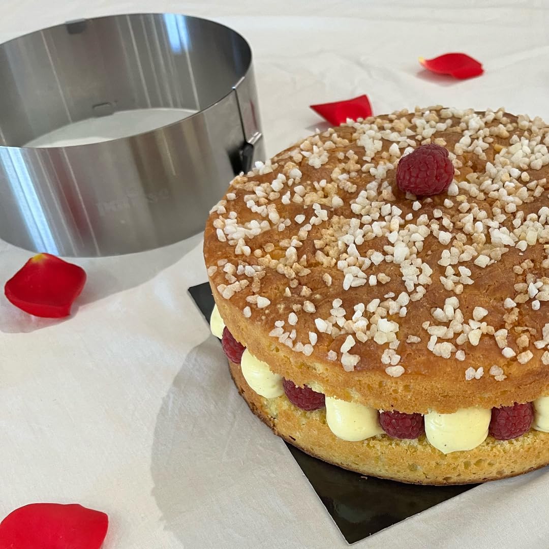 patisse 72457 - Regulowany okrąg do ciasta, wysuwany okrąg do ciasta z dźwignią zaciskową - Stal nierdzewna - wysokość 9cm x Ø 17 do 30cm
