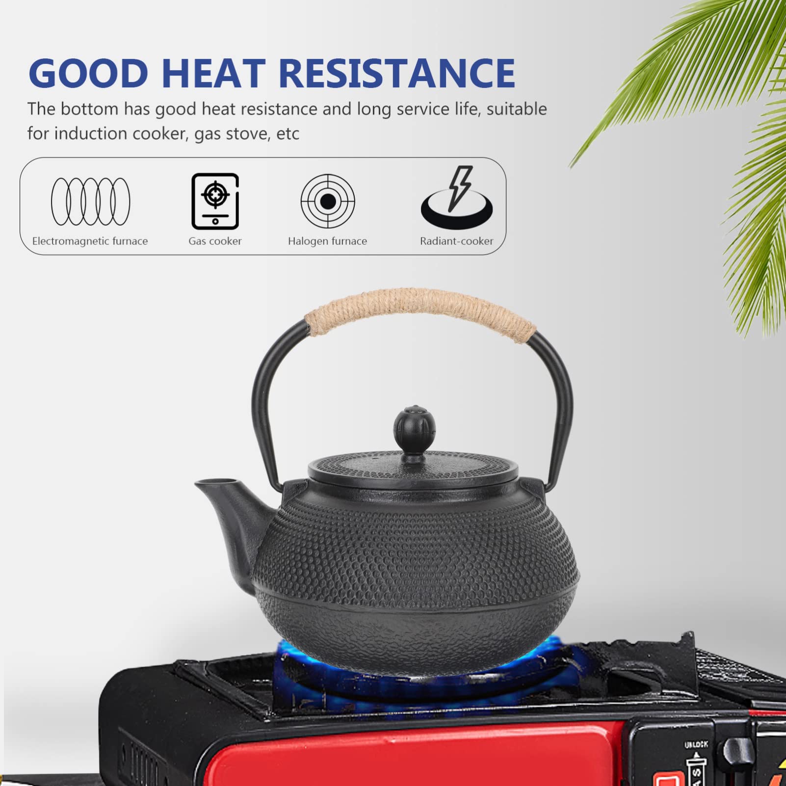 Tetera de Hierro Tetsubin 800ml Negra para Infusión | Infusor, Asa Cómoda, Limpieza Sencilla, Aislamiento Térmico, Uso en Hogar y Oficina