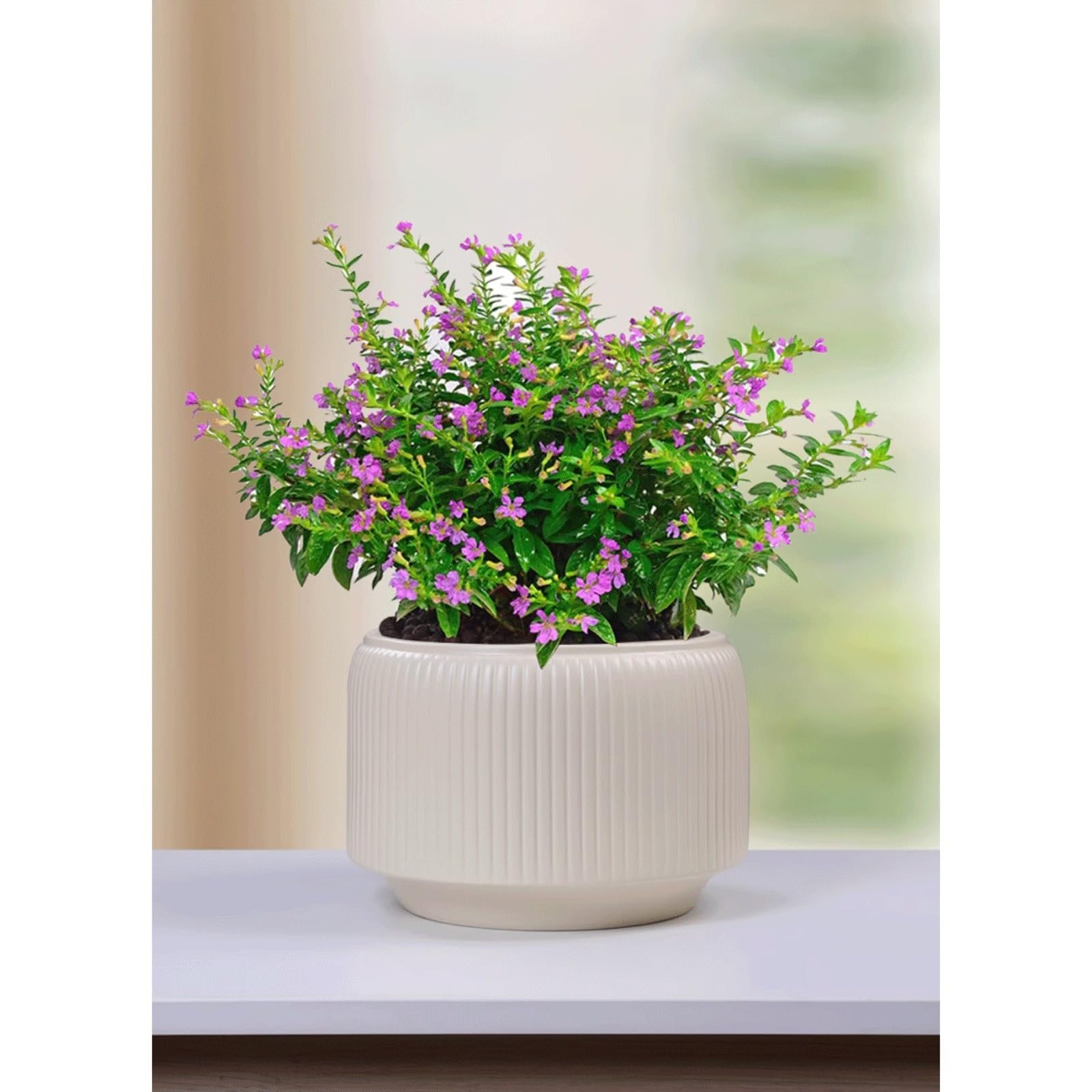 Dekoracyjna ceramiczna doniczka do orchidei z otworem drenażowym, nowoczesna okrągła donica z szerokim otworem, doniczka na sukulenty do wnętrz, do salonu, dekoracji domu, na taras (biała, CH)