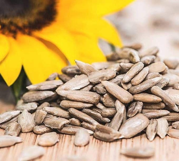 Sainik's Dry Fruit Mall Sunflower Seeds For Eating Organic Sunflower