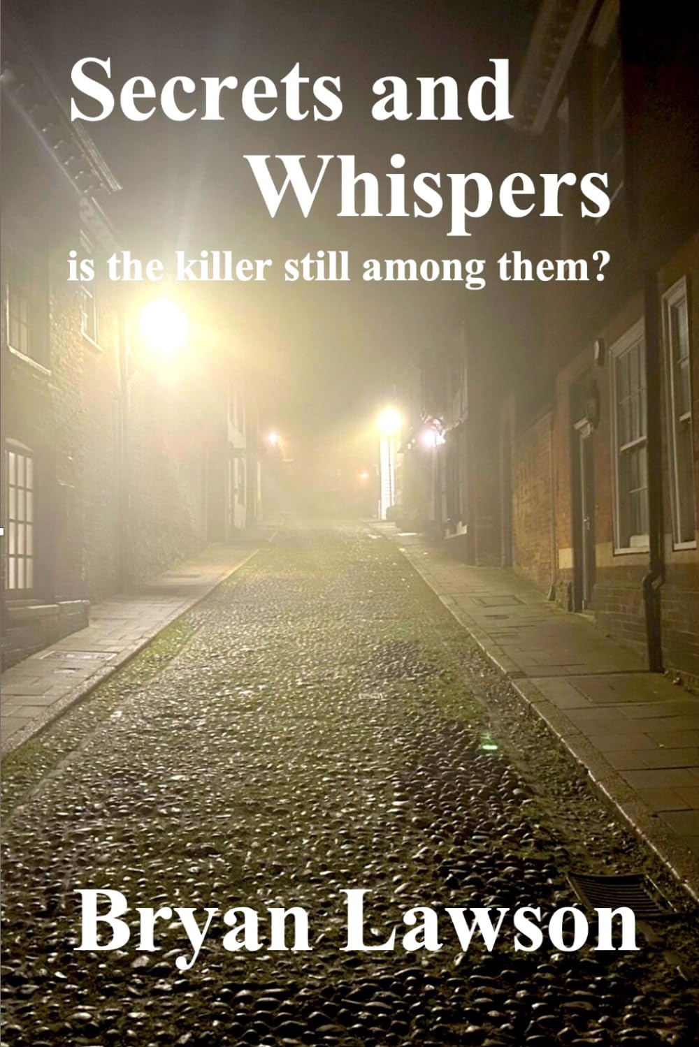 Secrets and Whispers: is the killer still among them? (Drake and Hepple mysteries)