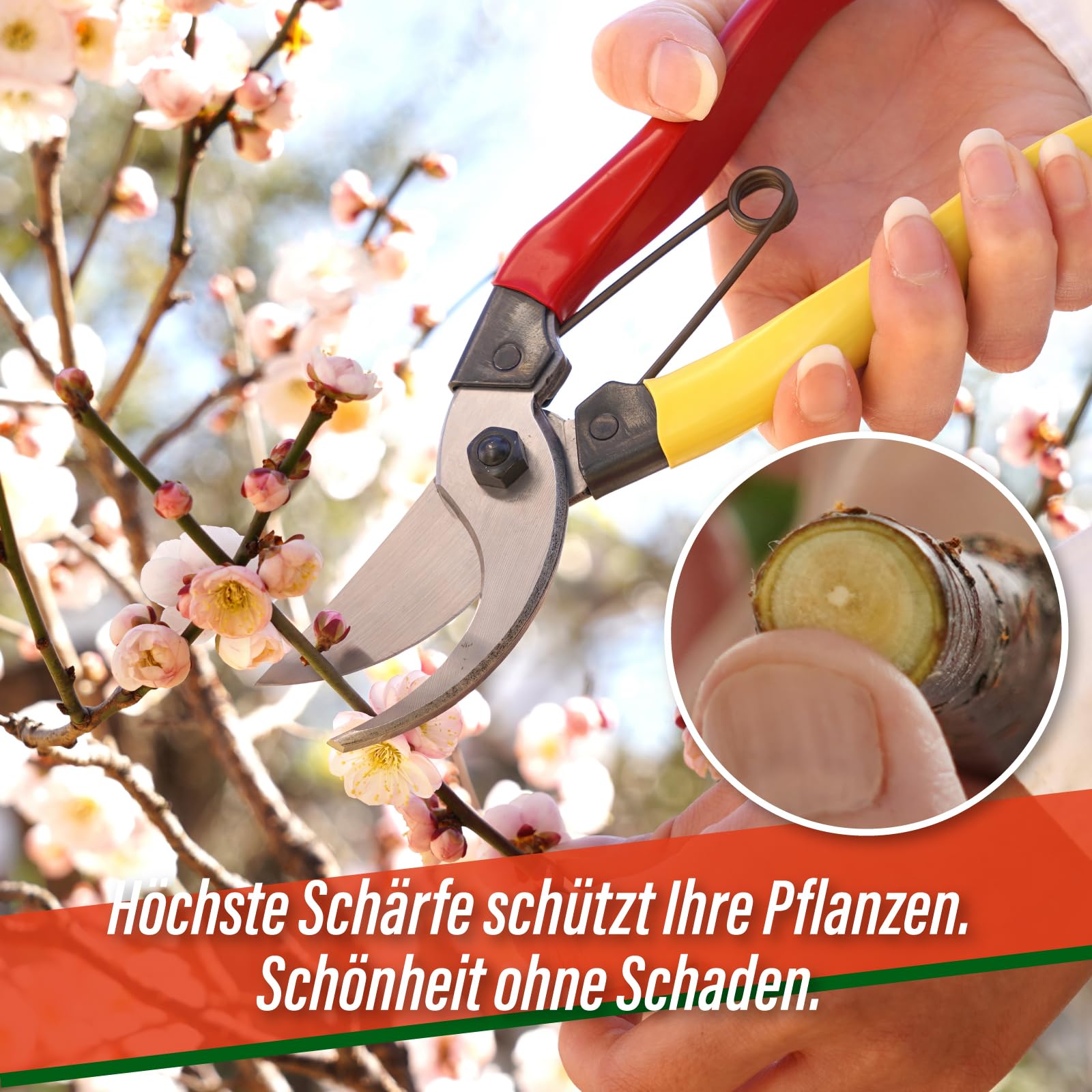 SUIZAN Bypass Gartenschere 200mm - Japanische Baumschere Rosenschere