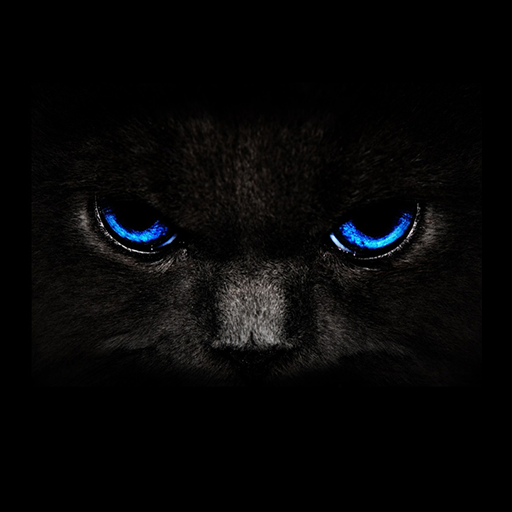 4k Black Wallpaper for android : خلفية سوداء - App on Amazon Appstore