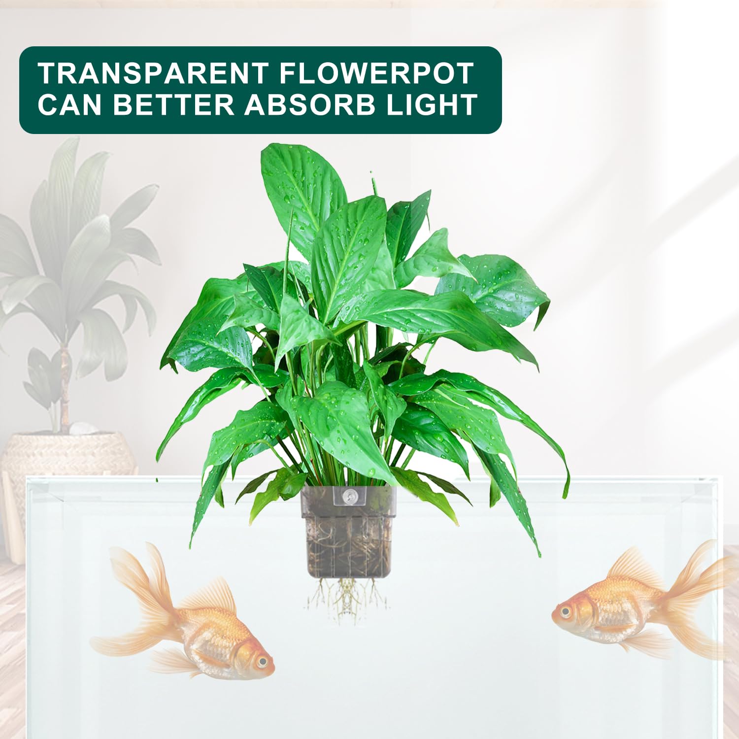 Support Plante D'aquarium, Pot pour Plantes D'Aquarium, Acrylique Transparent Tasses Panier pour Plantes Aquatiques Suspension pour Plantes, Décoration pour Aquarium, 2 Pièces