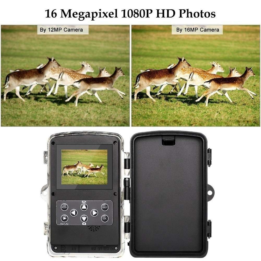 Macchina Fotografica di Caccia 16MP LED Infrarossi Trailer Macchina Fotografica Trappola a Infrarossi Gioco Wildlife Reconnaissance Camera 1080 P HD Video Caccia fotocamera