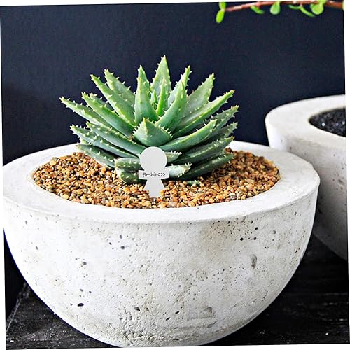 Miniatura 2 de Cabilock 50 etiquetas de metal para plantas, letreros de metal, etiquetas de nombre de plantas de suculentas, etiquetas de acero inoxidable,