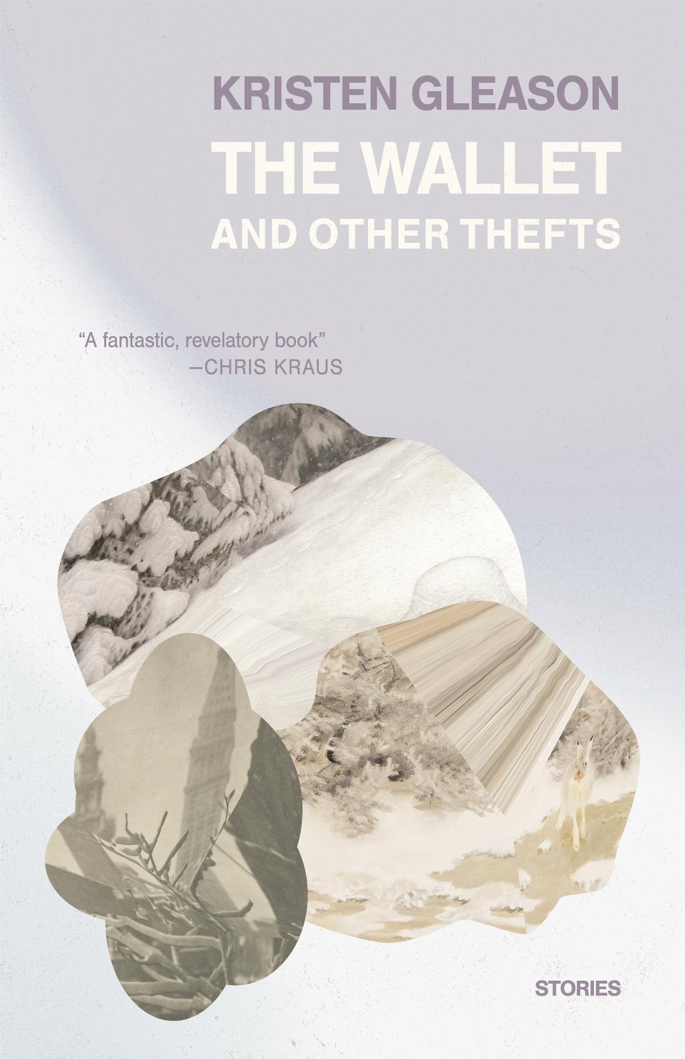 The Wallet and Other Thefts : Stories