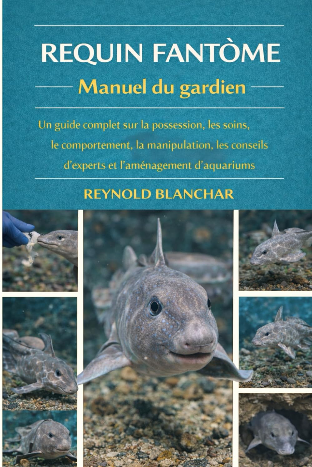 REQUIN FANTÔME: Un guide complet sur la possession, les soins, le comportement, la manipulation, les conseils d'experts et l'aménagement d'aquariums