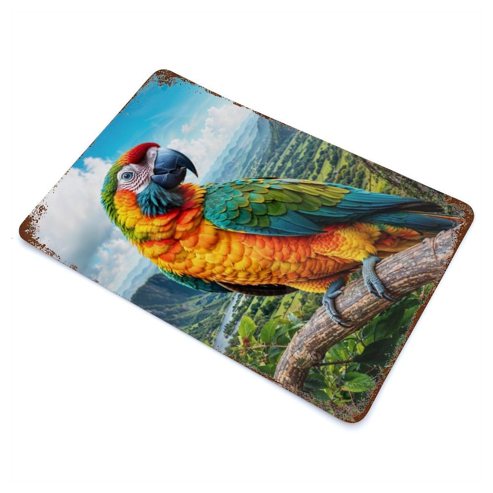 Colorful Parrot Retro Metal Sign 11.8"x7.9", Vintage Wall Decor for Garage, Pub Or Kitchen
