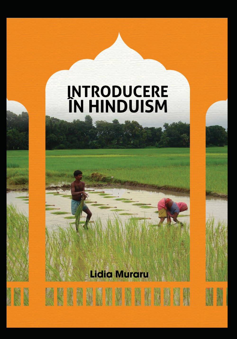 Introducere în Hinduism: Credințe și valori în religia hindusă