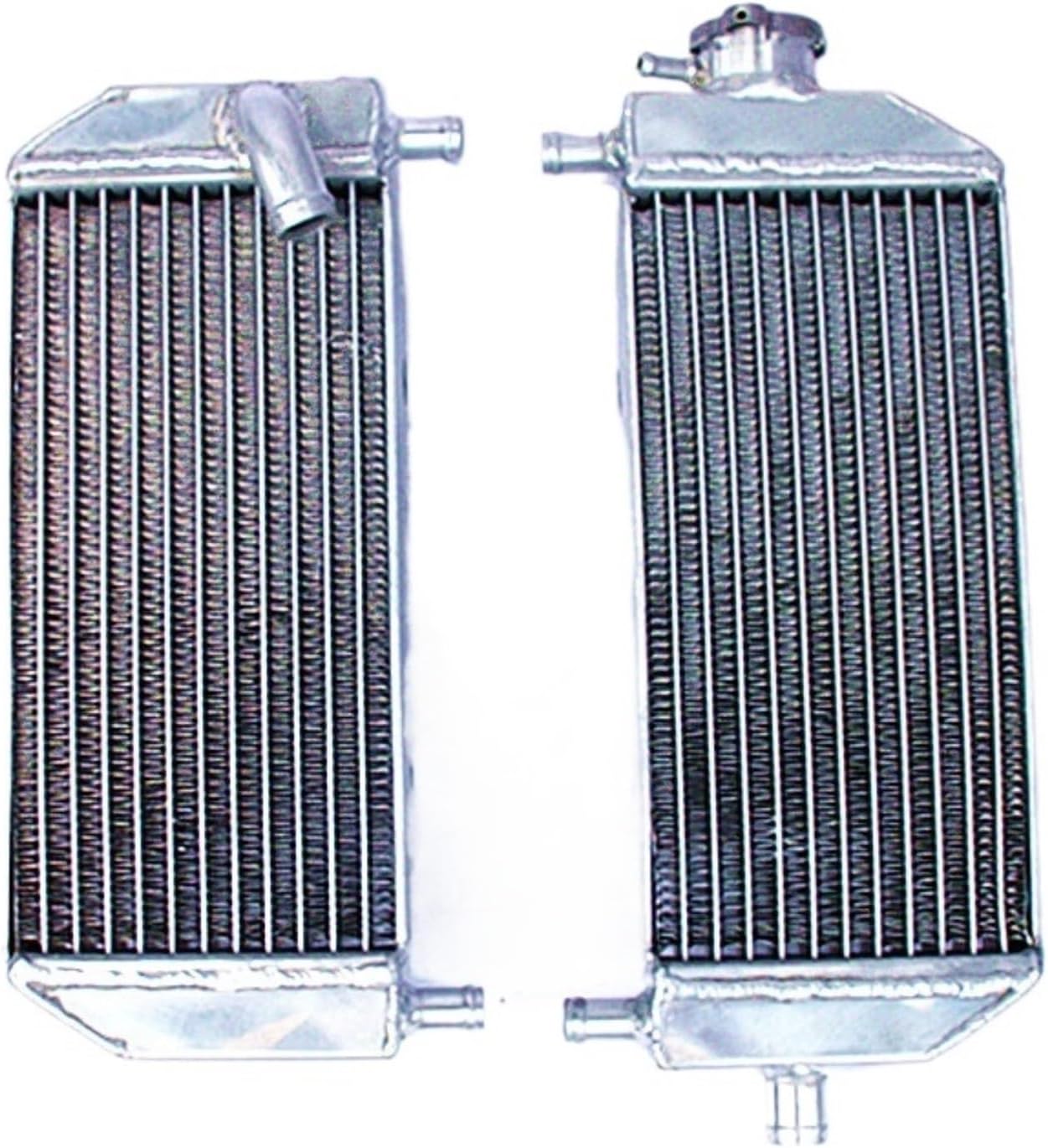 激レア！！ 流通経済大学 ラグビー部 部章