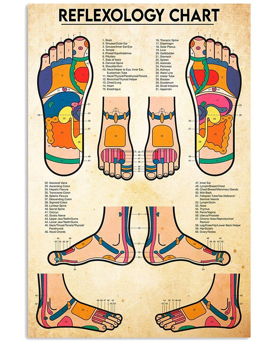 KWQDOZF Reflexology Chart Metal Signs Vintage Office Decor Reflexology Knowledge Tin Poster Home Club Hospital Wall Decoration Plaque 12x16 Inches