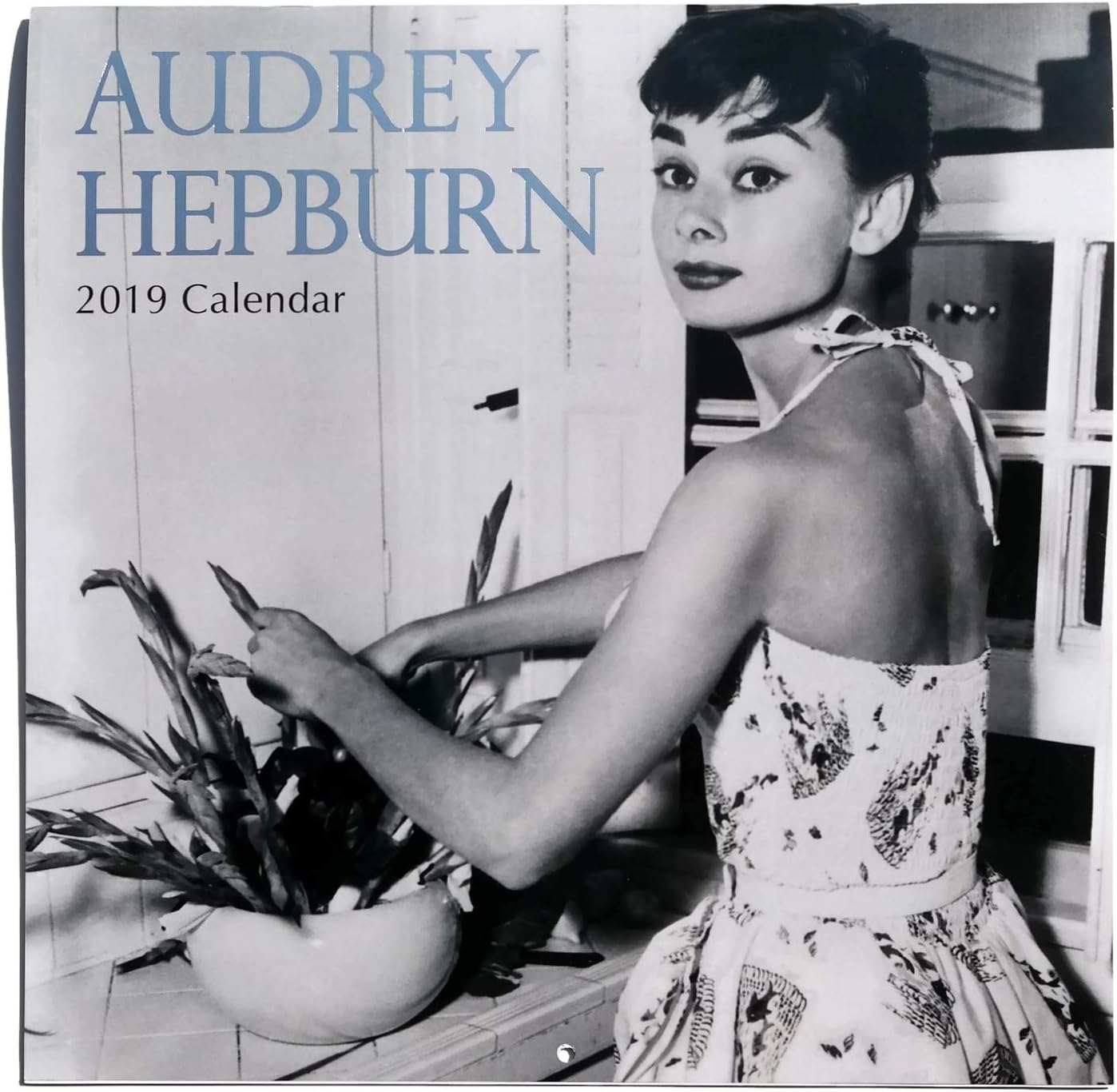 2019 Audrey Hepburn Wall Calendar, 12 x 24 inch Monthly Calendar, 16-Month